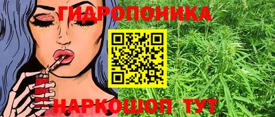 соль ск Свободный