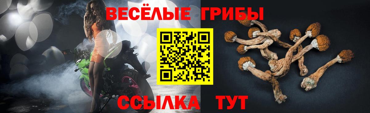 Псилоцибиновые грибы Psilocybine cubensis Петрозаводск
